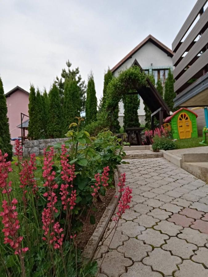 Dukic * Zlatibor